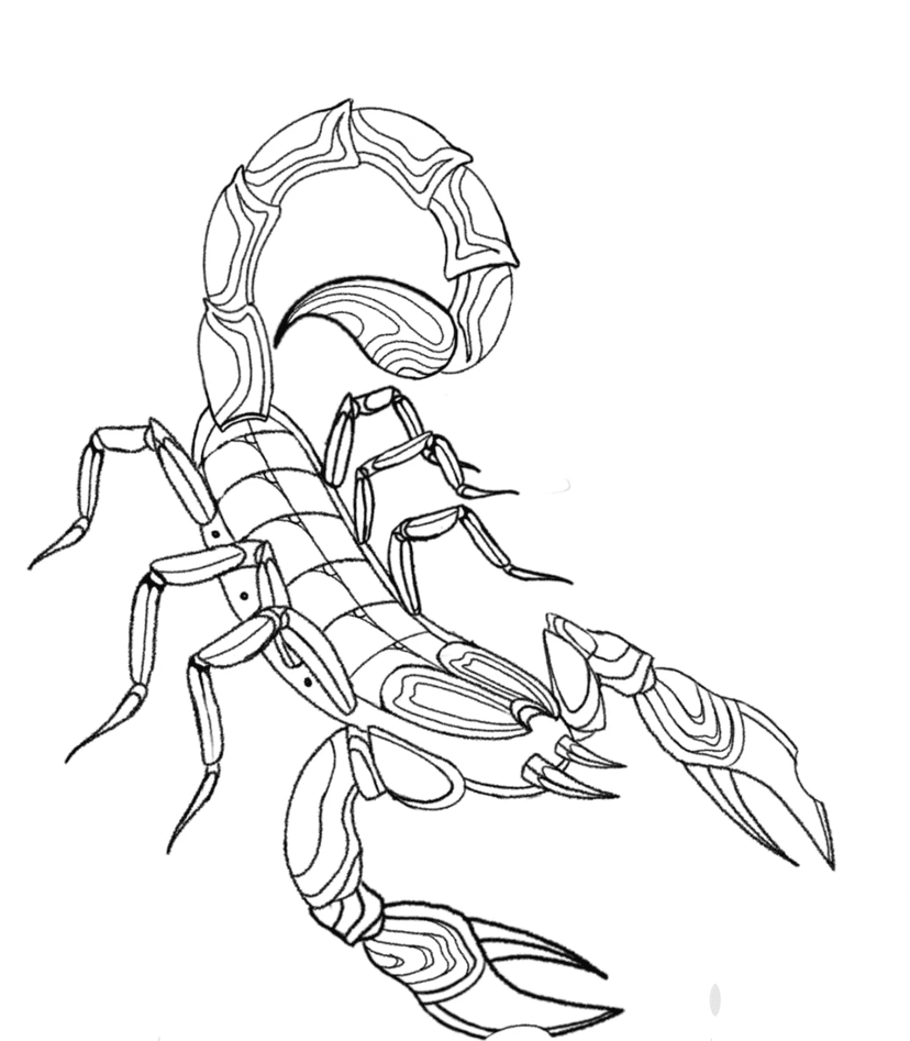 Scorpion tattoo design